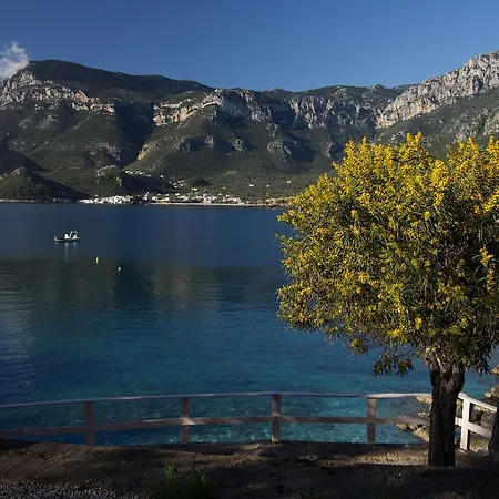 Cavo Kortia 3* Kyparissia