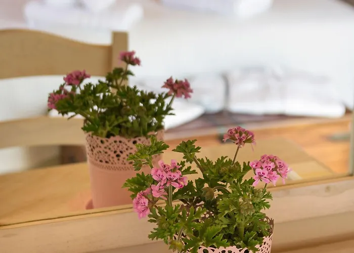 Cavo Kortia Kyparissia